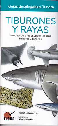 Tiburones y rayas. Introducción a las especies ibéricas, baleares y canarias (Guías desplegables Tundra)