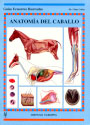 Anatomía del caballo. Guía ecuestre ilustrada