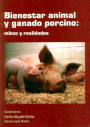 Bienestar animal y ganado porcino: mitos y realidades