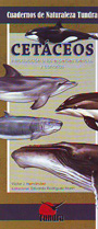 Cetáceos. Introducción a las especies ibéricas y canarias