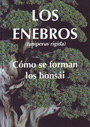 Enebros, Los (Juniperus rigida). Cómo se forman los bonsái