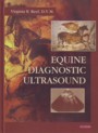 Equine diagnostic ultrasound