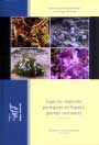 Especies vegetales protegidas en España: plantas vasculares