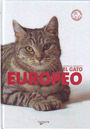 Gato europeo, El