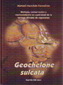 Geochelone Sulcata