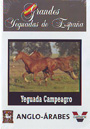 Grandes yeguadas de España. Yeguada Campeagro