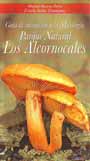 Guía de iniciación a la micología. Parque Natural Los Alcornocales