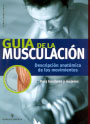 Guía de la musculación. Descripción anatómica de los movimientos. Hombres y mujeres