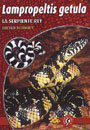 Lampropeltis getula. La serpiente rey