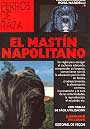 Mastín Napolitano, El