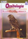 Ornitología práctica. Nº 8. El canario rojo mosaico