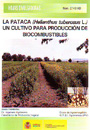 Pataca (helianthus tuberosus L.), La. Un cultivo para producción de biocombustibles - Hoja divulgadora