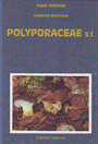 Polyporaceae, S.L.