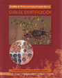 Semillas de frutos carnosos del norte ibérico. Guía de identificación (Libro + DVD)