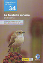 Tarabilla canaria en España, La