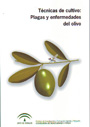 Técnicas de cultivo: plagas y enfermedades del olivo