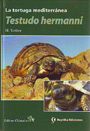 Testudo hermanni. La tortuga mediterránea