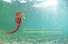 Vida bajo el Mediterráneo / Life under the Mediterranean Sea