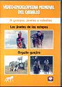 Vídeo-Enciclopedia mundial del caballo. A galopar, jinetes y caballos. Los jinetes de las estepas. Orgullo guajiro