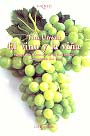Vino y la viña, El. Geografía histórica de la viticultura y el comercio del vino