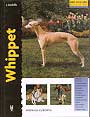 Whippet (Excellence)