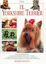 Yorkshire Terrier, El